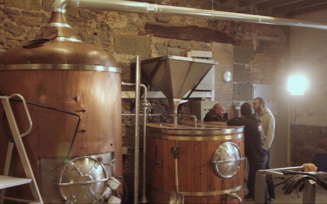 Synera Cervesa Artesana